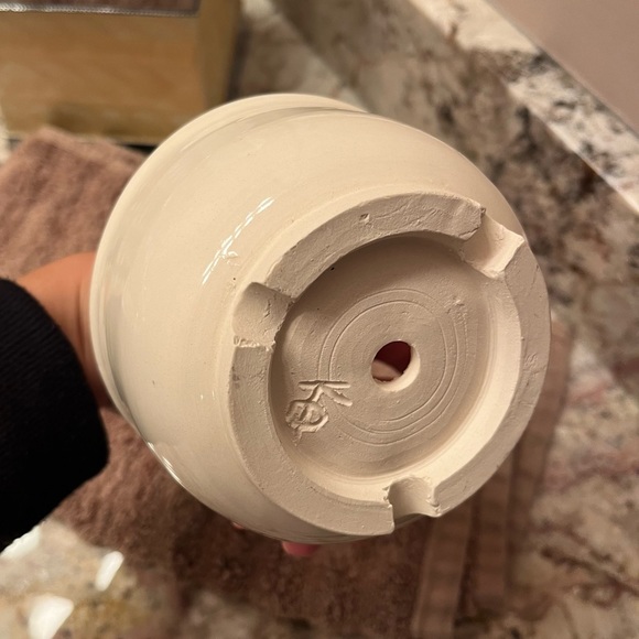 Me so Thorny Plant Pot 🌱 - Picture 3 of 3